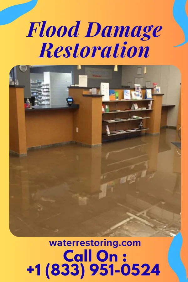 Flood Damage Restoration in Olney, IL