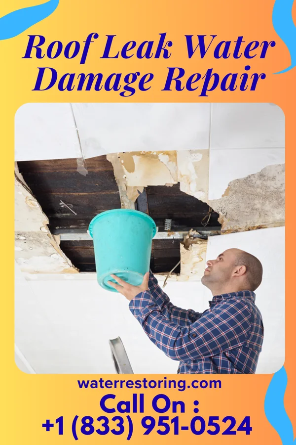 Roof Leak Water Damage Repair in Olney, IL